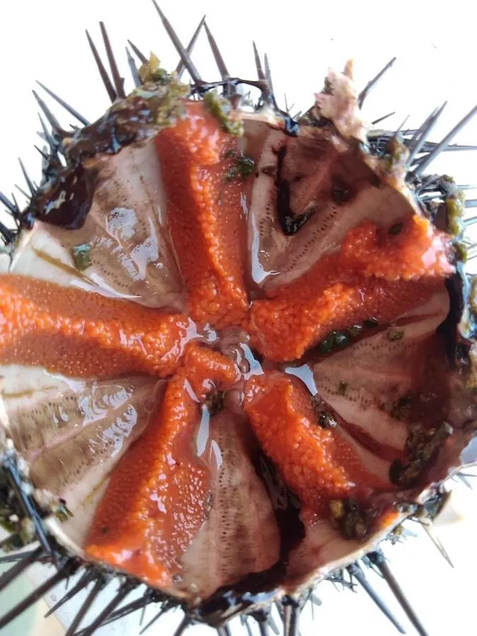 Appartamenti Mazara 马扎拉德尔瓦洛